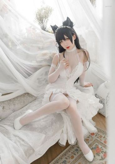 一个人看的www小说在线观看_DVD在线观看电视